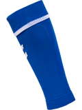 Bleu roi