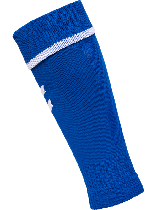 Bleu roi